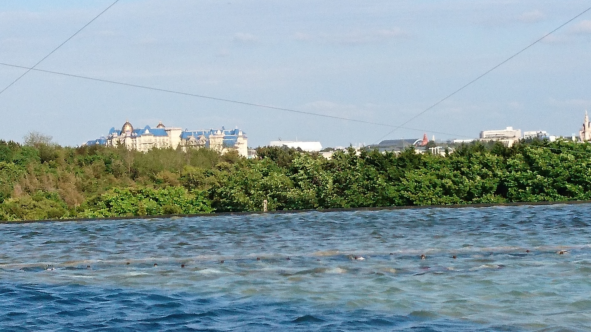 一人旅 葛西臨海水族園 大学生の日常